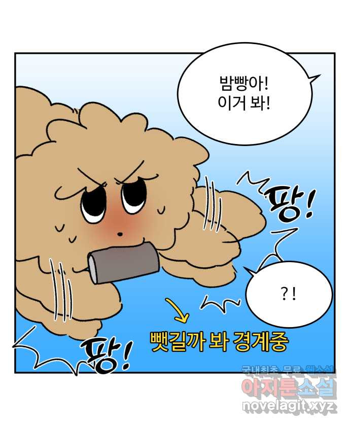 강아지는 멍멍하고 짖지 않아! 82화 - 가성비 강아지 - 웹툰 이미지 17