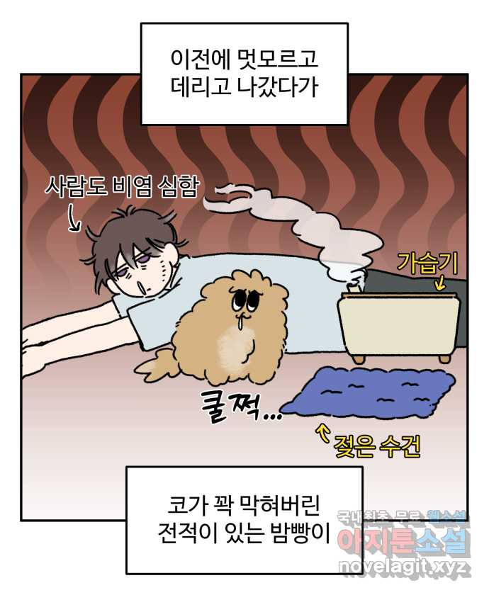 강아지는 멍멍하고 짖지 않아! 83화 - 봄날의 불청객 - 웹툰 이미지 9