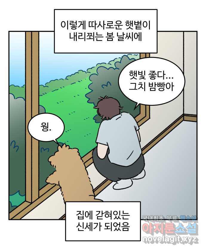 강아지는 멍멍하고 짖지 않아! 83화 - 봄날의 불청객 - 웹툰 이미지 13