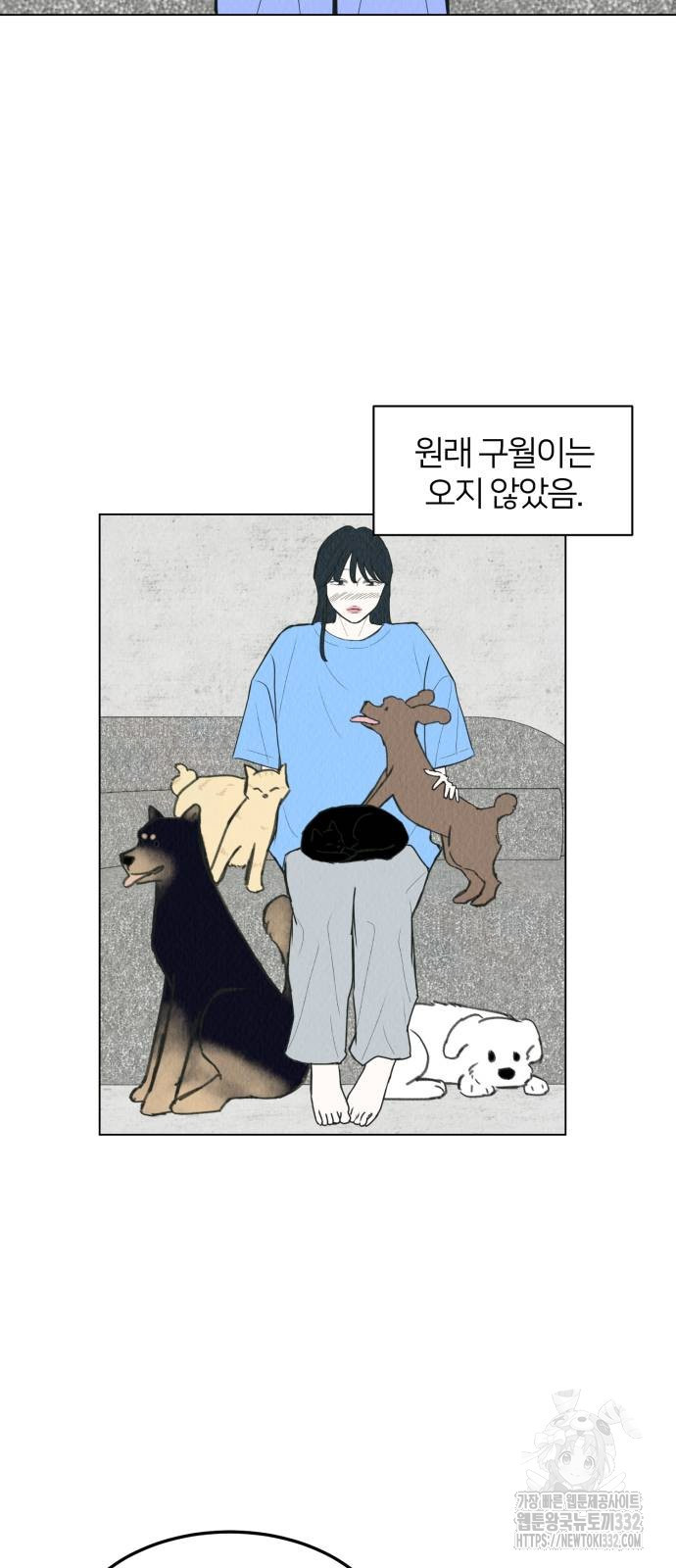 우리 집 고양이 보고 갈래? 68화 - 웹툰 이미지 20