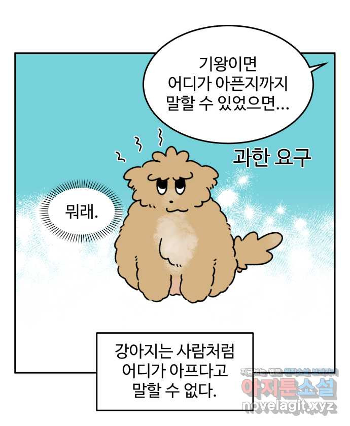 강아지는 멍멍하고 짖지 않아! 84화 - 꾀병의 진실 - 웹툰 이미지 3