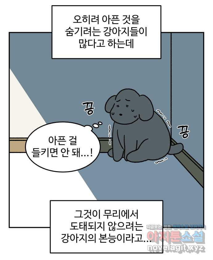 강아지는 멍멍하고 짖지 않아! 84화 - 꾀병의 진실 - 웹툰 이미지 4