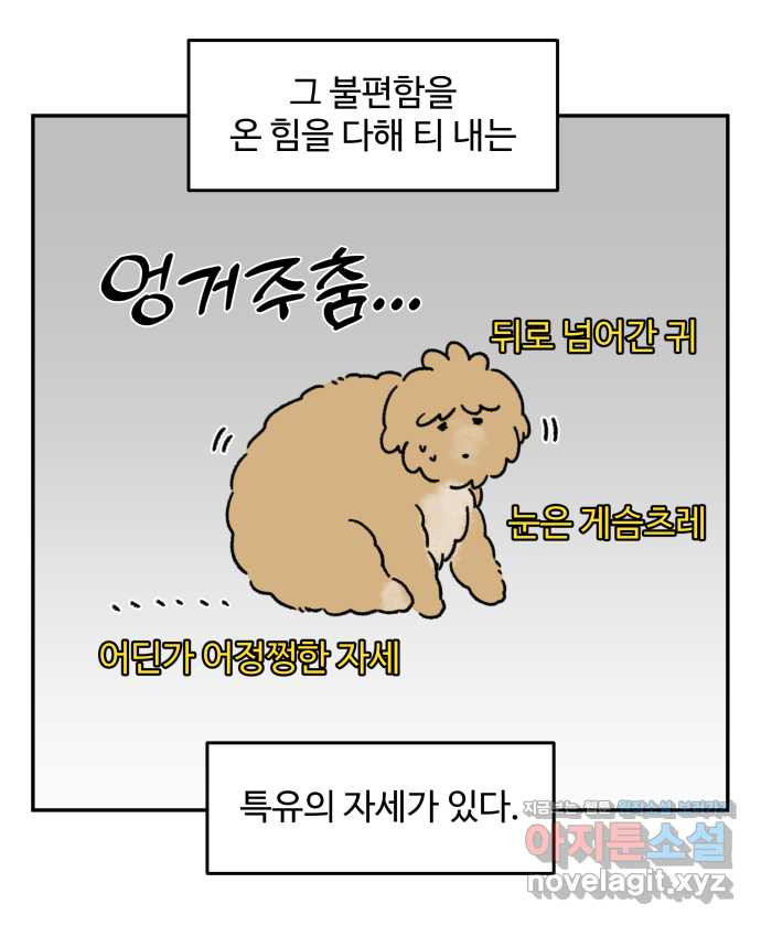 강아지는 멍멍하고 짖지 않아! 84화 - 꾀병의 진실 - 웹툰 이미지 9