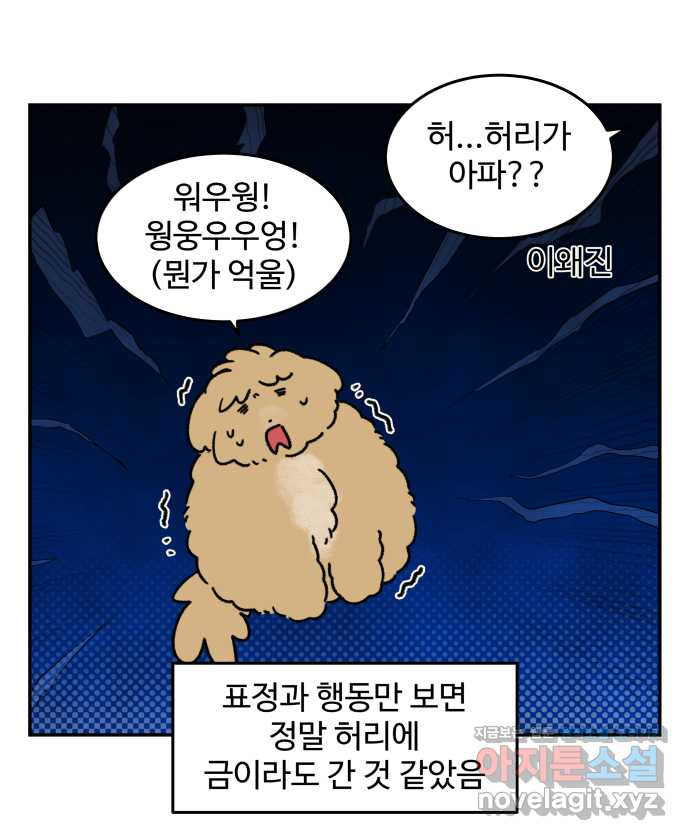 강아지는 멍멍하고 짖지 않아! 84화 - 꾀병의 진실 - 웹툰 이미지 13