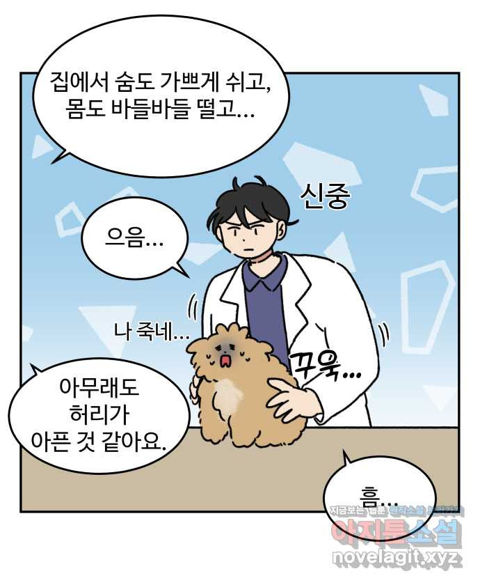 강아지는 멍멍하고 짖지 않아! 84화 - 꾀병의 진실 - 웹툰 이미지 15