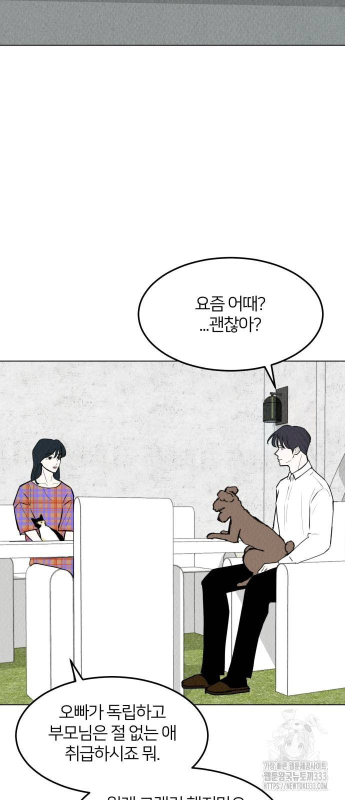 우리 집 고양이 보고 갈래? 69화 - 웹툰 이미지 15