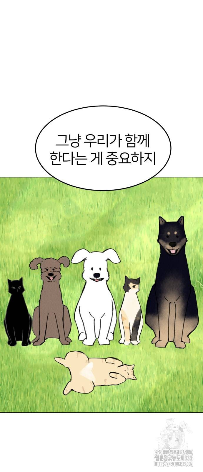 우리 집 고양이 보고 갈래? 69화 - 웹툰 이미지 29