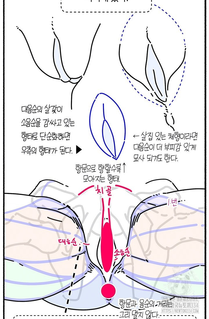 19세부터 시작하는 JINMI의 에로드로잉 14화 - 웹툰 이미지 21