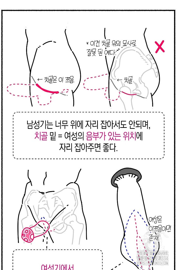 19세부터 시작하는 JINMI의 에로드로잉 14화 - 웹툰 이미지 25