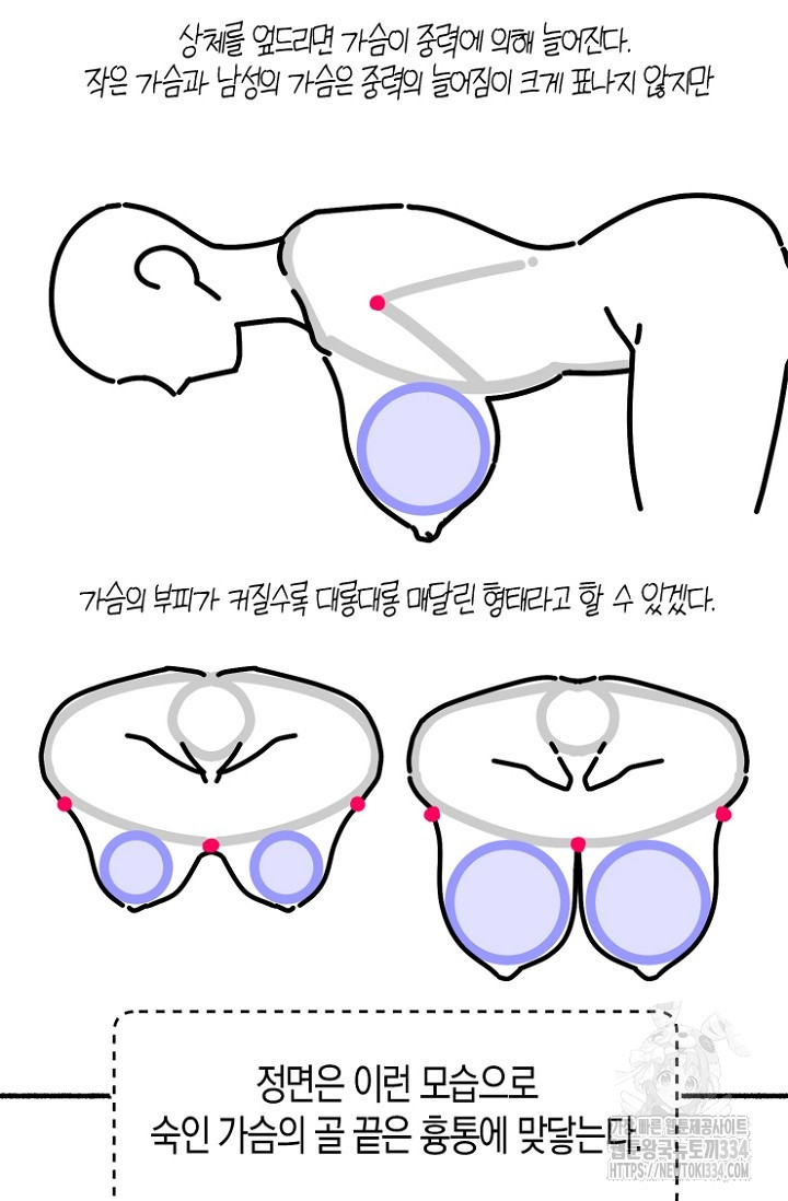 19세부터 시작하는 JINMI의 에로드로잉 16화 - 웹툰 이미지 15