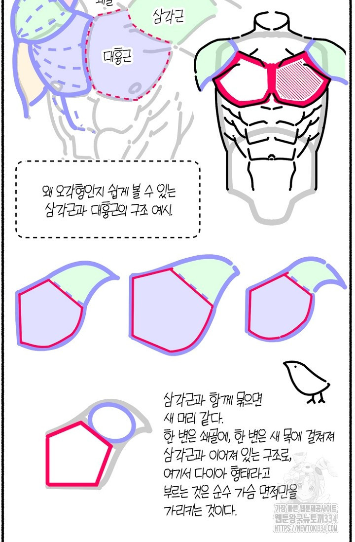 19세부터 시작하는 JINMI의 에로드로잉 17화 - 웹툰 이미지 10