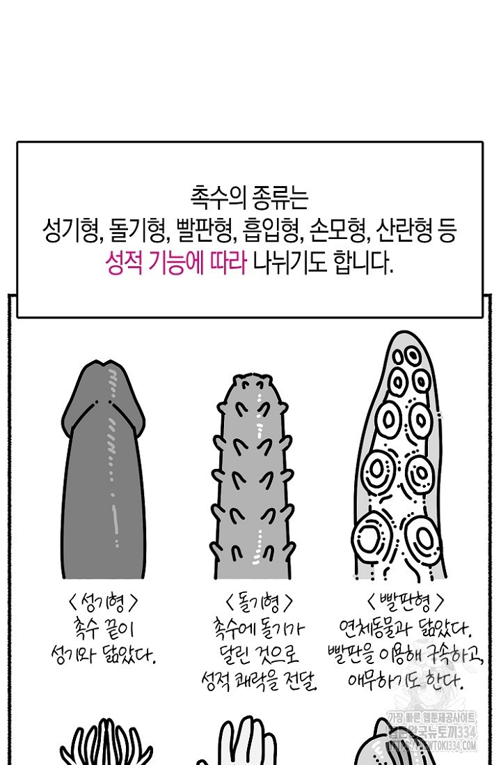 19세부터 시작하는 JINMI의 에로드로잉 31화 - 웹툰 이미지 20