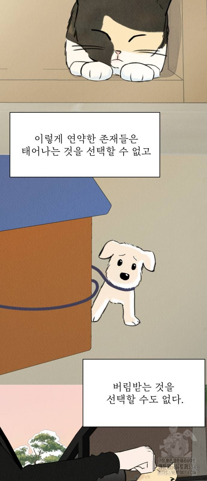 우리 집 고양이 보고 갈래? 70화 완결 - 웹툰 이미지 14