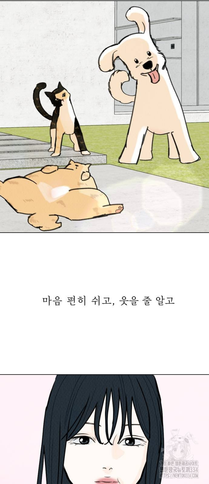 우리 집 고양이 보고 갈래? 70화 완결 - 웹툰 이미지 20