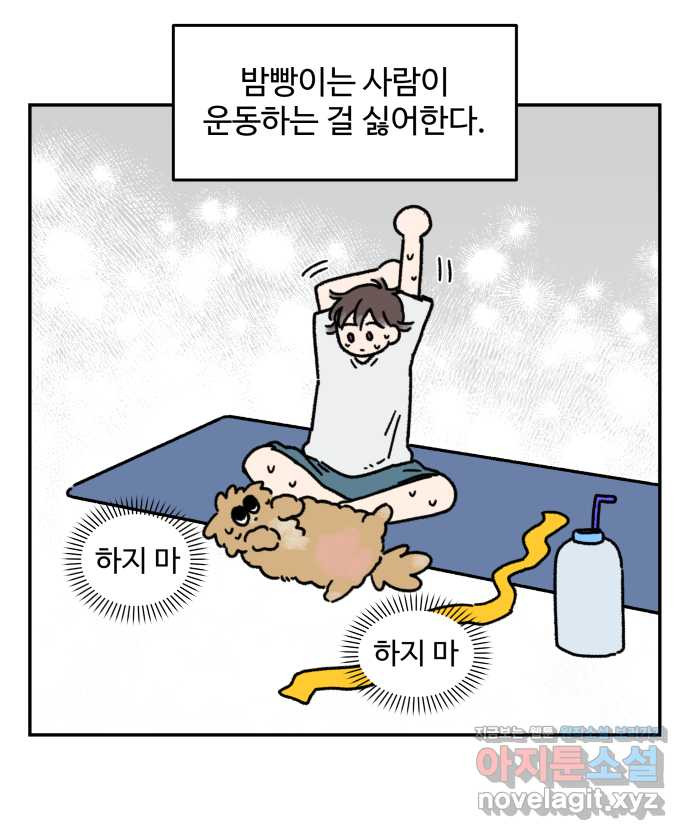 강아지는 멍멍하고 짖지 않아! 86화 - 운동 하지 마! - 웹툰 이미지 8