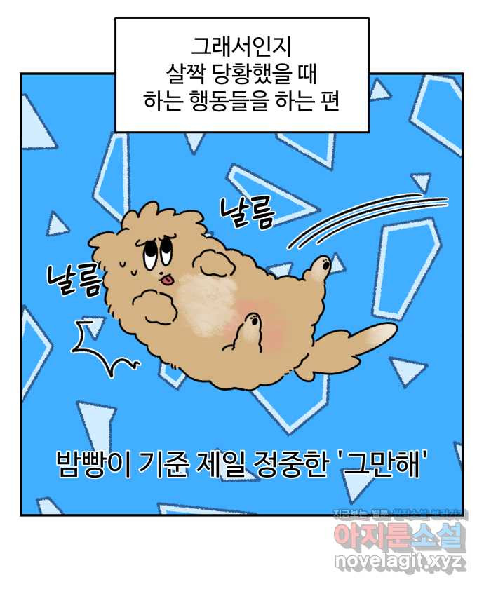 강아지는 멍멍하고 짖지 않아! 86화 - 운동 하지 마! - 웹툰 이미지 16