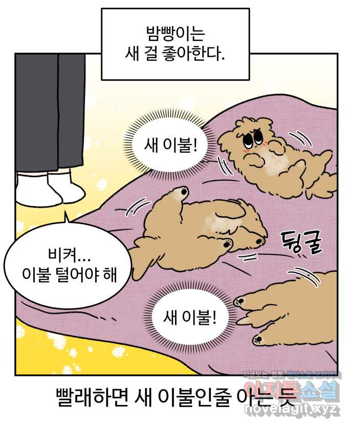 강아지는 멍멍하고 짖지 않아! 87화 - 새걸로 주세요 - 웹툰 이미지 4