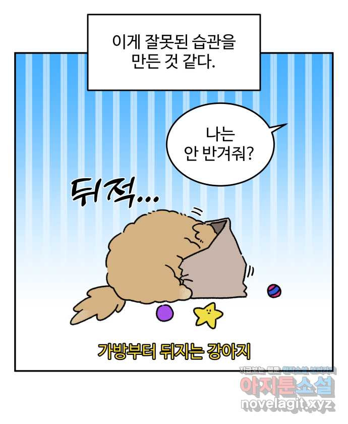 강아지는 멍멍하고 짖지 않아! 87화 - 새걸로 주세요 - 웹툰 이미지 11