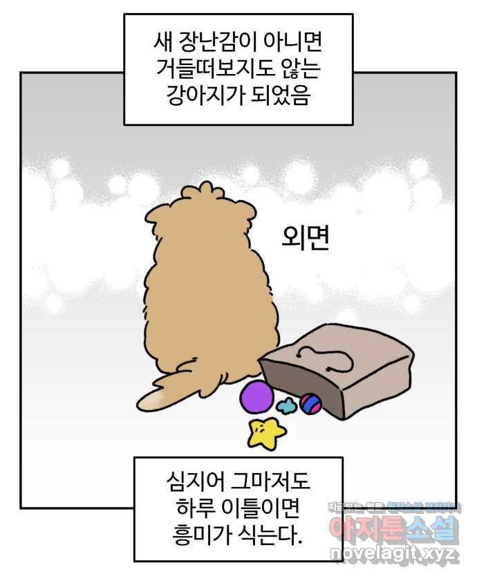 강아지는 멍멍하고 짖지 않아! 87화 - 새걸로 주세요 - 웹툰 이미지 12