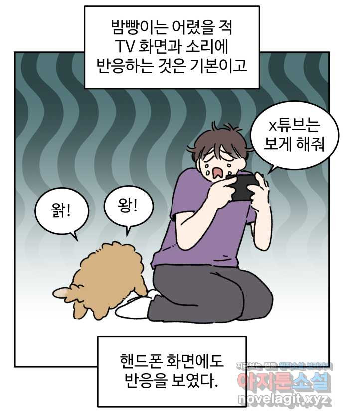 강아지는 멍멍하고 짖지 않아! 88화 - 모니터와 강아지 - 웹툰 이미지 9