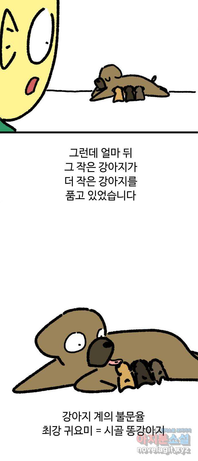 애구애구 후기 - 웹툰 이미지 10