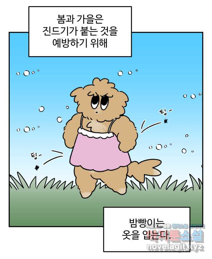 강아지는 멍멍하고 짖지 않아! 93화 - 강아지와 옷 - 웹툰 이미지 5