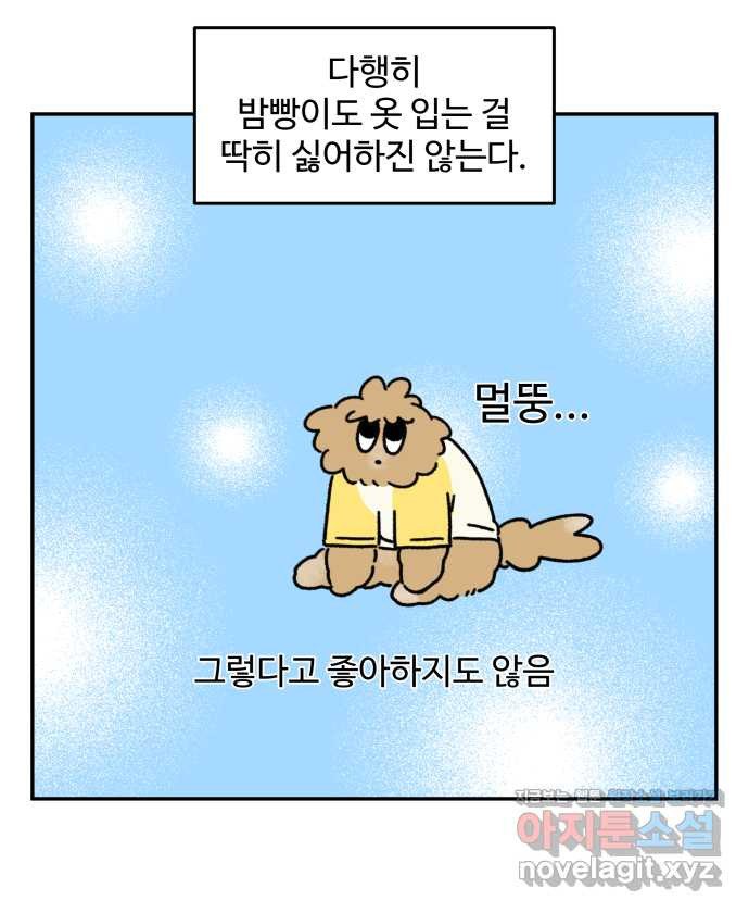 강아지는 멍멍하고 짖지 않아! 93화 - 강아지와 옷 - 웹툰 이미지 17