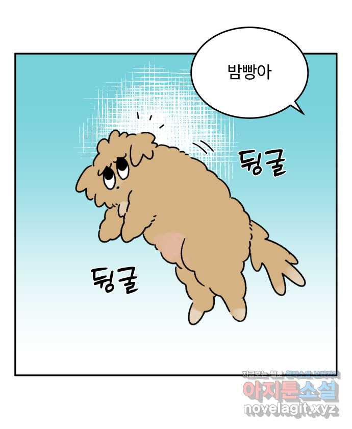 강아지는 멍멍하고 짖지 않아! 97화 - 산책이 싫어! 1 - 웹툰 이미지 1