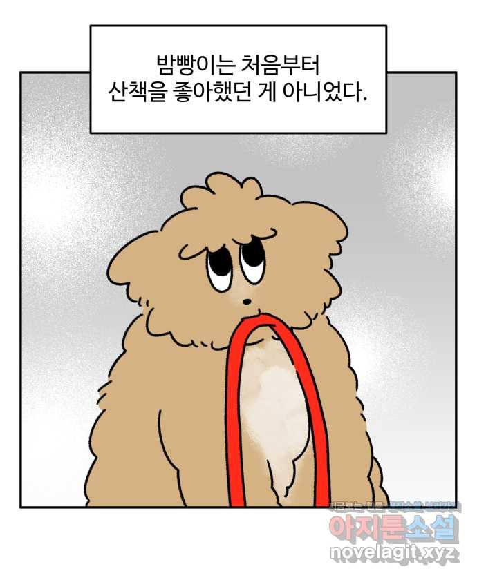 강아지는 멍멍하고 짖지 않아! 97화 - 산책이 싫어! 1 - 웹툰 이미지 5