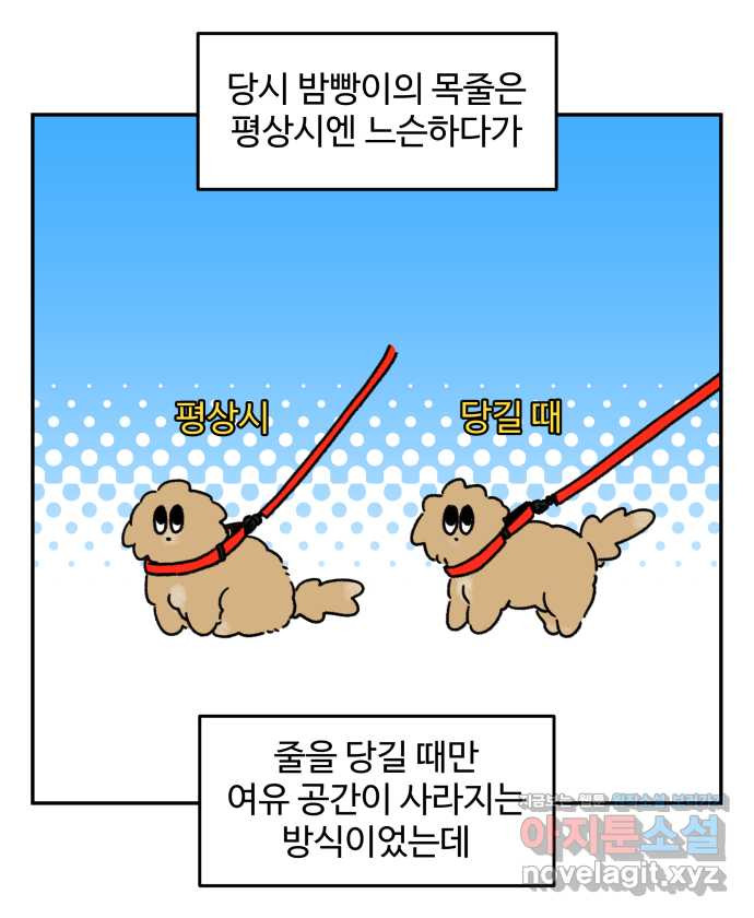 강아지는 멍멍하고 짖지 않아! 99화 - 목줄이 빠졌다! - 웹툰 이미지 3