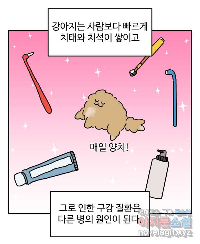 강아지는 멍멍하고 짖지 않아! 101화 - 양치질 - 웹툰 이미지 9