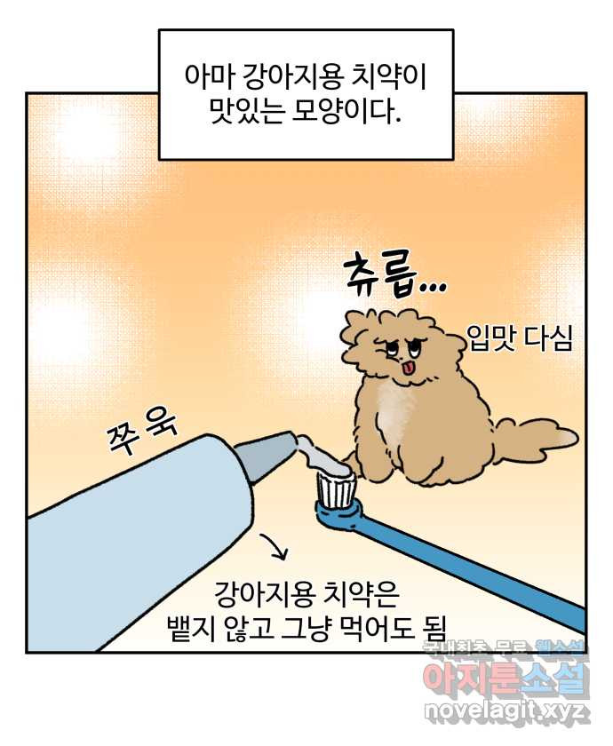 강아지는 멍멍하고 짖지 않아! 101화 - 양치질 - 웹툰 이미지 14