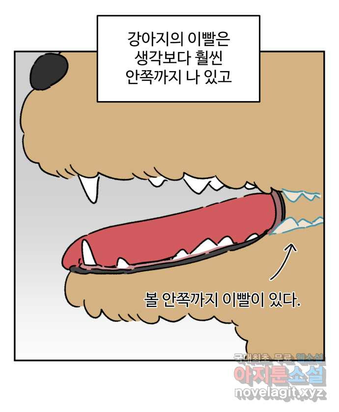 강아지는 멍멍하고 짖지 않아! 101화 - 양치질 - 웹툰 이미지 17