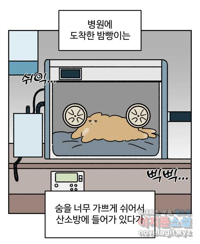 강아지는 멍멍하고 짖지 않아! 102화 - 24시간 동물 병원 - 웹툰 이미지 15