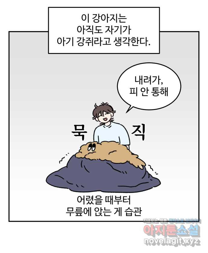 강아지는 멍멍하고 짖지 않아! 104화 - 과거의 영광 - 웹툰 이미지 2