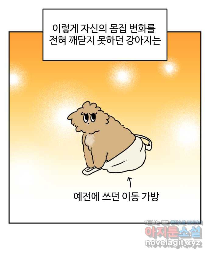 강아지는 멍멍하고 짖지 않아! 104화 - 과거의 영광 - 웹툰 이미지 5