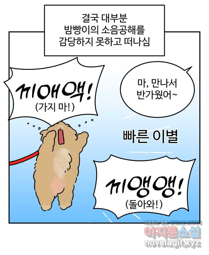 강아지는 멍멍하고 짖지 않아! 104화 - 과거의 영광 - 웹툰 이미지 18