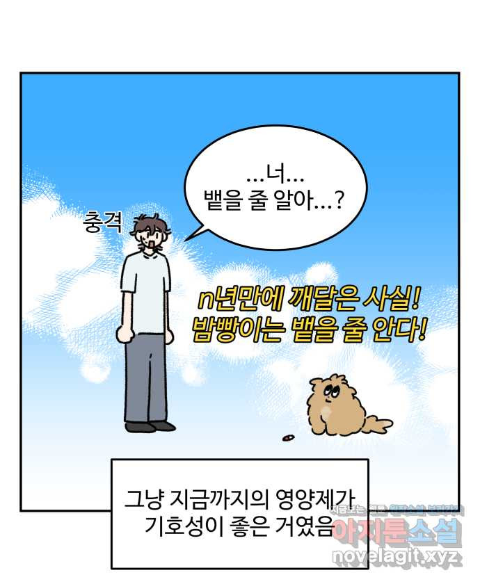 강아지는 멍멍하고 짖지 않아! 105화 - 약 먹이기 - 웹툰 이미지 6