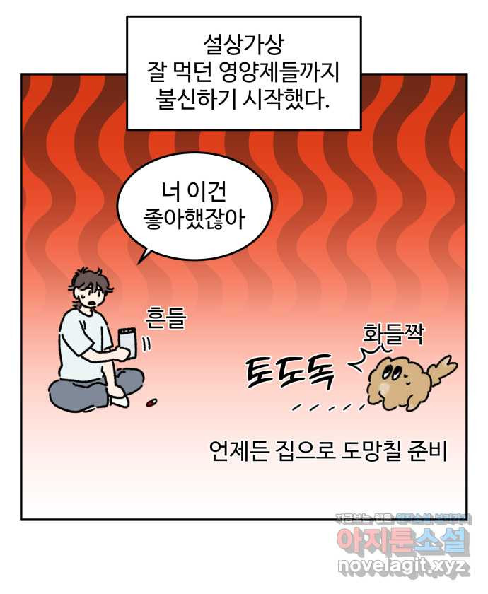 강아지는 멍멍하고 짖지 않아! 105화 - 약 먹이기 - 웹툰 이미지 9