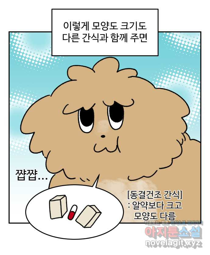 강아지는 멍멍하고 짖지 않아! 105화 - 약 먹이기 - 웹툰 이미지 16