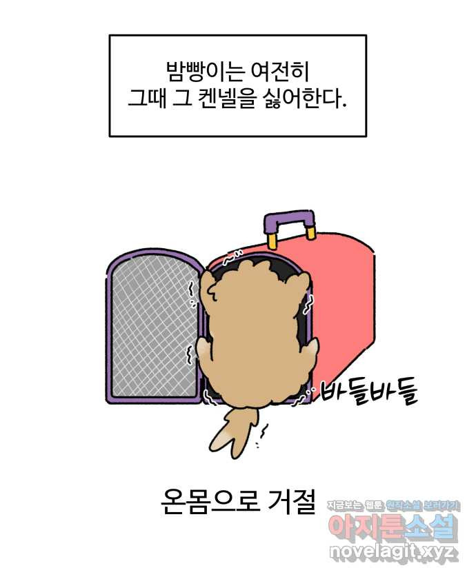 강아지는 멍멍하고 짖지 않아! 107화 - 강아지 유치원 2 - 웹툰 이미지 21