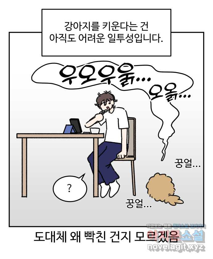 강아지는 멍멍하고 짖지 않아! 110화 - 강아지는 멍멍하고 짖지 않아! - 웹툰 이미지 7