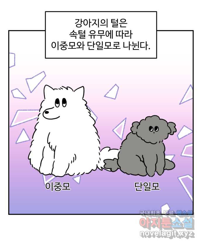 강아지는 멍멍하고 짖지 않아! 57화 - 겨울 산책 - 웹툰 이미지 6