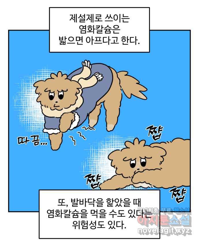 강아지는 멍멍하고 짖지 않아! 57화 - 겨울 산책 - 웹툰 이미지 19