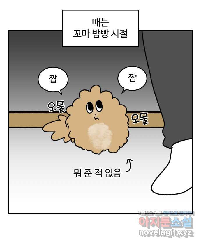 강아지는 멍멍하고 짖지 않아! 59화 - 스테이플러 대소동 1 - 웹툰 이미지 4