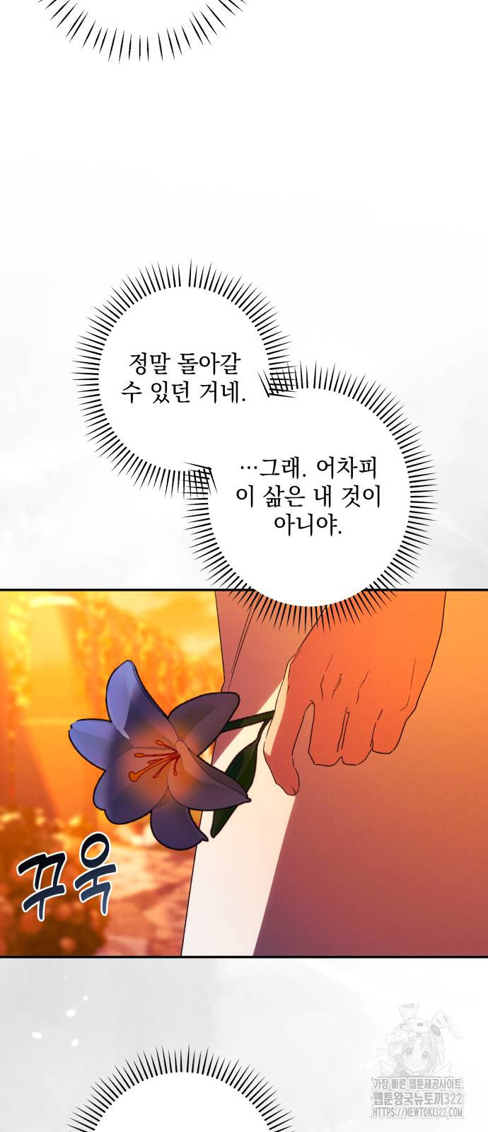 북부 공작님을 유혹하겠습니다 65화 - 웹툰 이미지 43