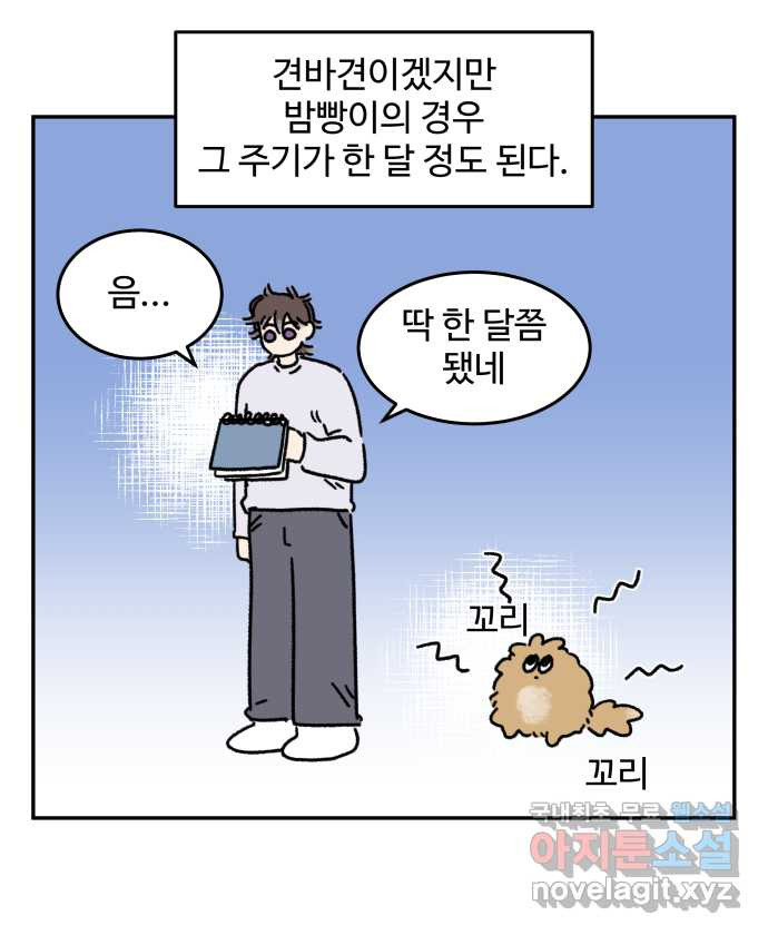 강아지는 멍멍하고 짖지 않아! 63화 - 목욕하는 날 1 - 웹툰 이미지 8