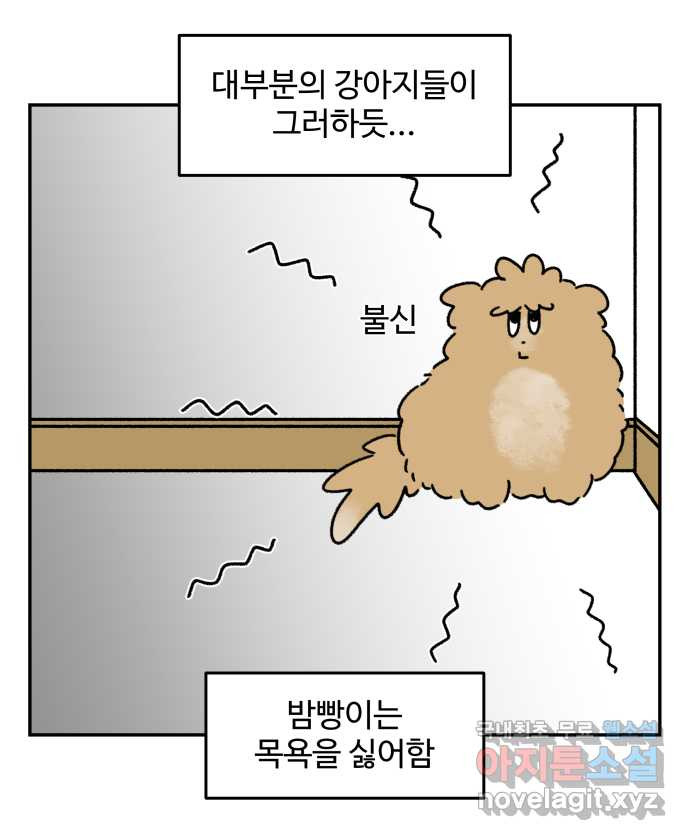 강아지는 멍멍하고 짖지 않아! 63화 - 목욕하는 날 1 - 웹툰 이미지 15