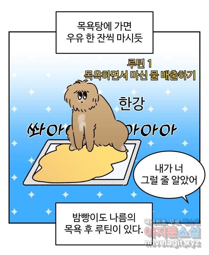 강아지는 멍멍하고 짖지 않아! 64화 - 목욕하는 날 2 - 웹툰 이미지 17