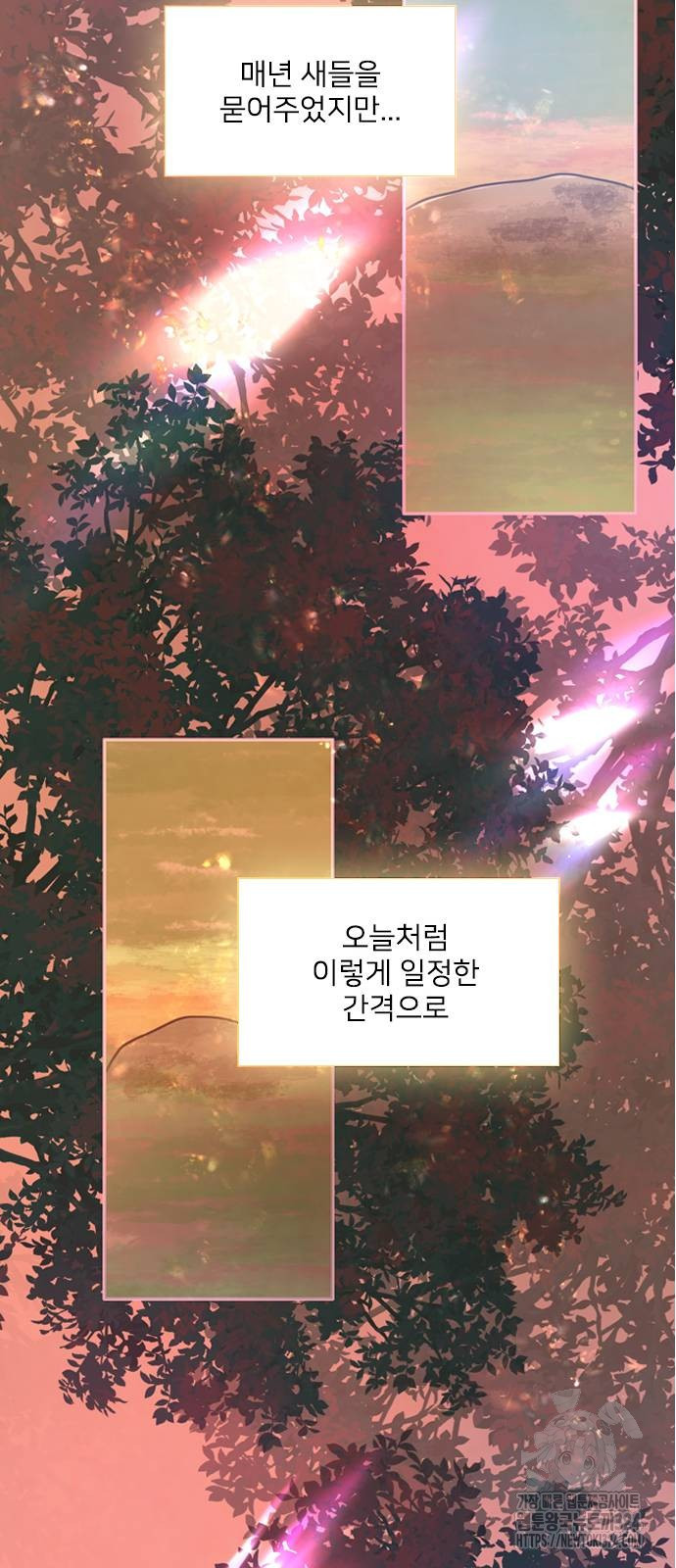 울어 봐, 빌어도 좋고 23화 - 웹툰 이미지 78